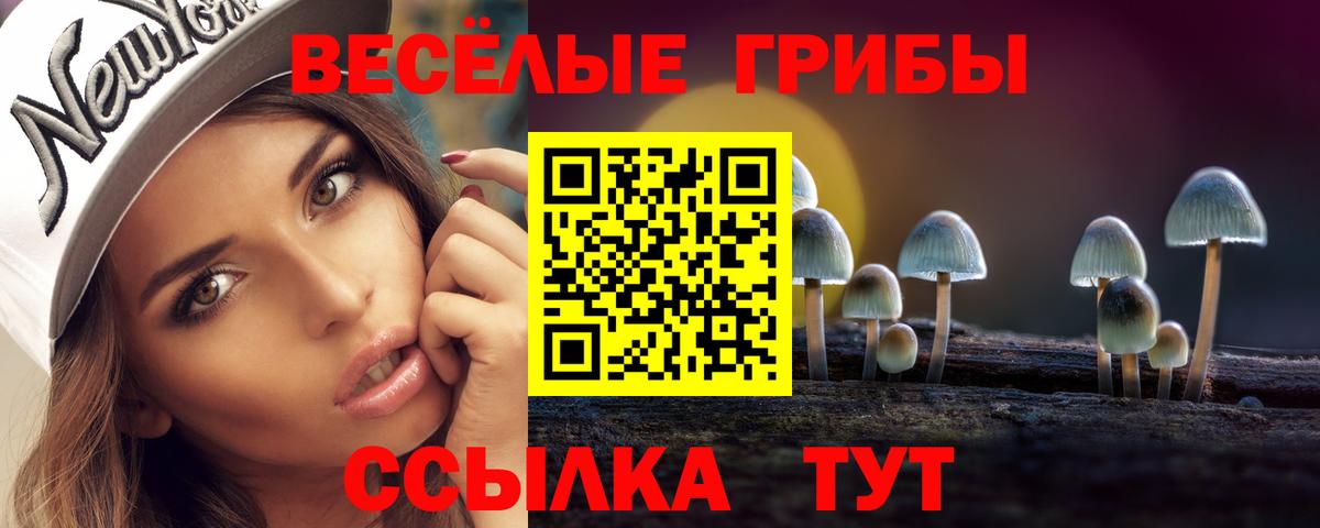 Псилоцибиновые грибы Psilocybine cubensis  Галлюциногенные грибы мухоморы  Петрозаводск  Вход с VPN 